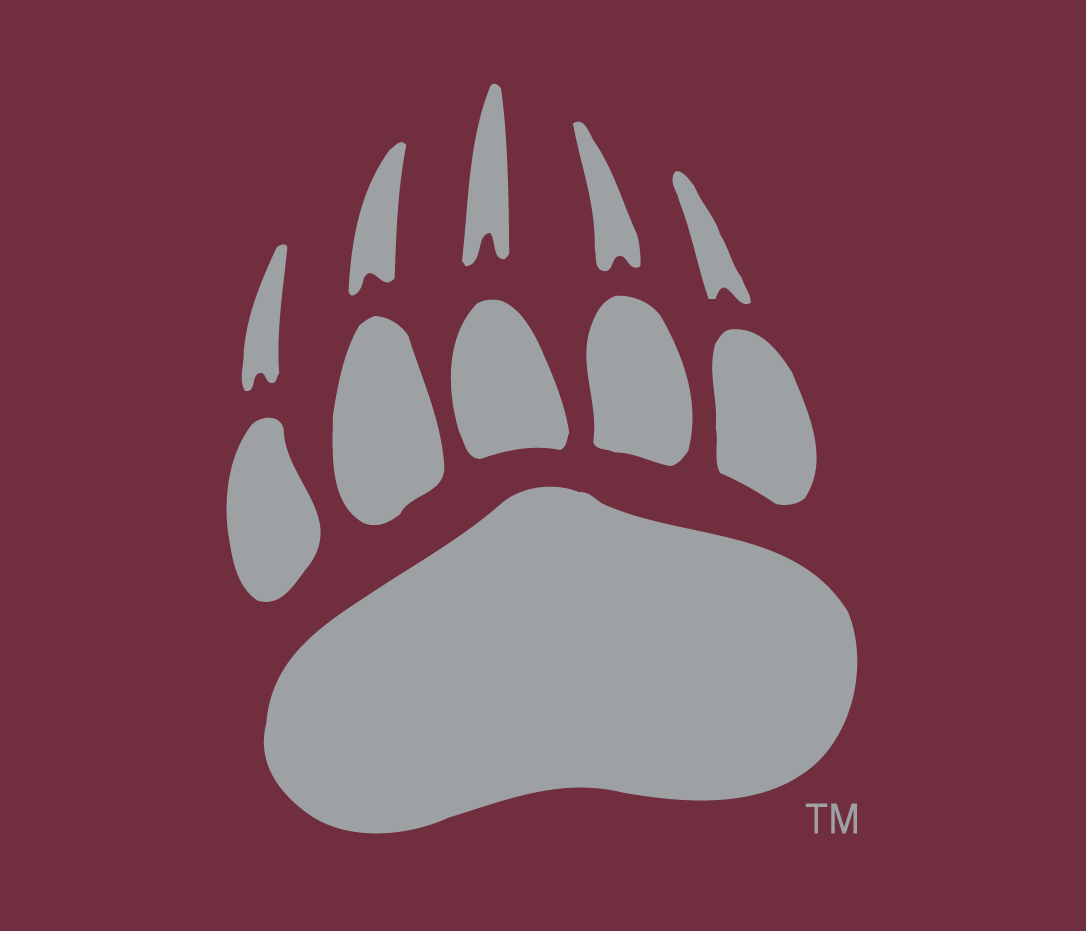 Montana Grizzlies 1996-Pres Alternate Logo v3 diy DTF decal sticker